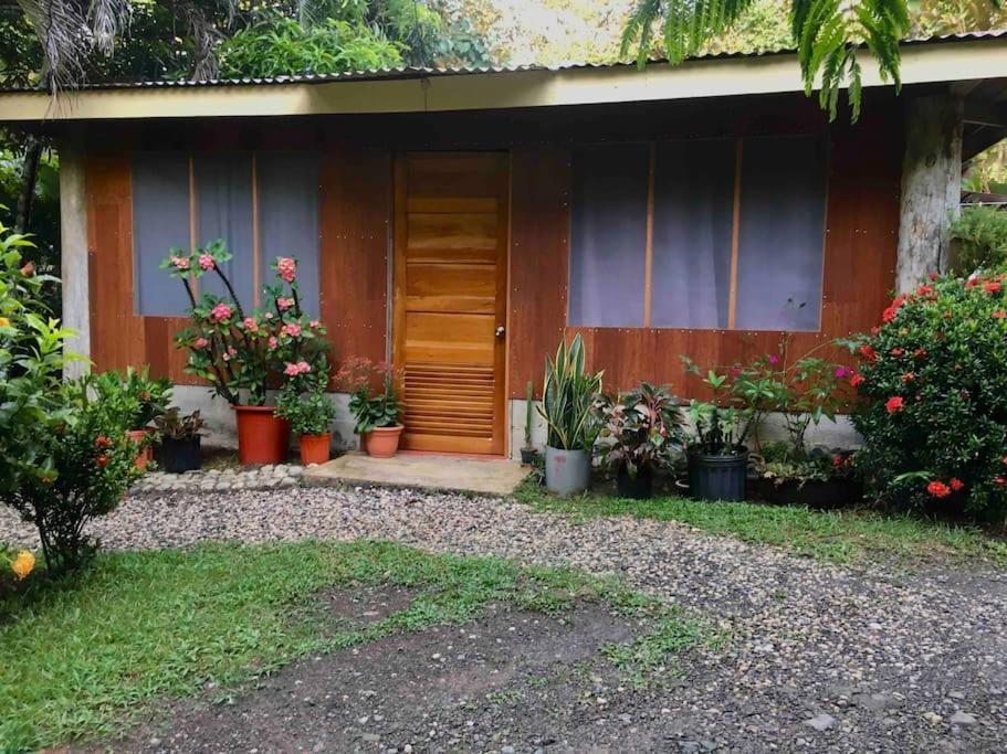 Puerto Jiménez Casa Sol 아파트 외부 사진